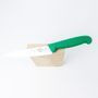 Кухонний ніж Victorinox Fibrox Kitchen 5.2004.15 зелений