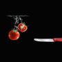 Кухонный нож Victorinox SwissClassic Tomato&Table 6.7831 красный