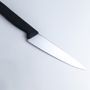 Кухонний ніж Victorinox Fibrox Carving 5.2033.19 чорний
