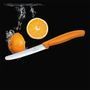Кухонний ніж Victorinox SwissClassic Tomato&Table 6.7836.L119 помаранчевий