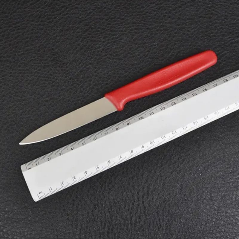 Кухонный нож Victorinox Standard Paring 5.0601 красный