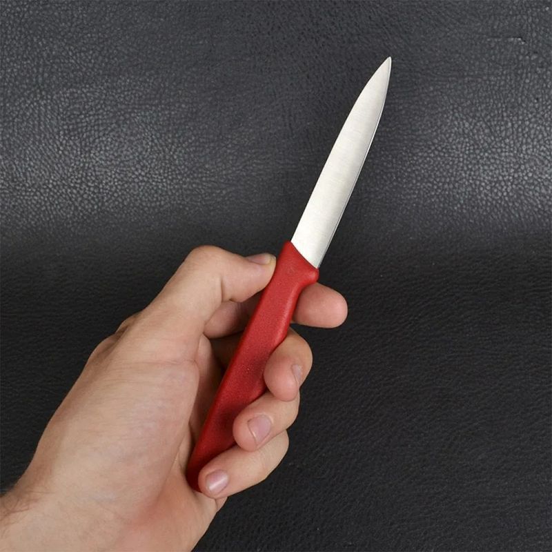 Кухонный нож Victorinox Standard Paring 5.0601 красный