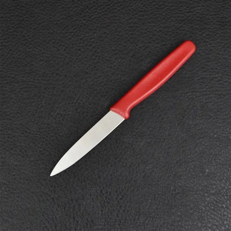 Кухонный нож Victorinox Standard Paring 5.0601 красный