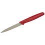 Кухонный нож Victorinox Standard Paring 5.0601 красный
