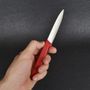 Кухонный нож Victorinox Standard Paring 5.0601 красный