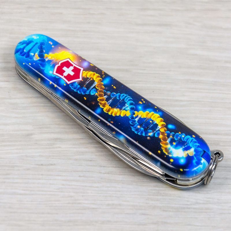Складаний ніж Victorinox (Швейцарія) із серії Spartan.