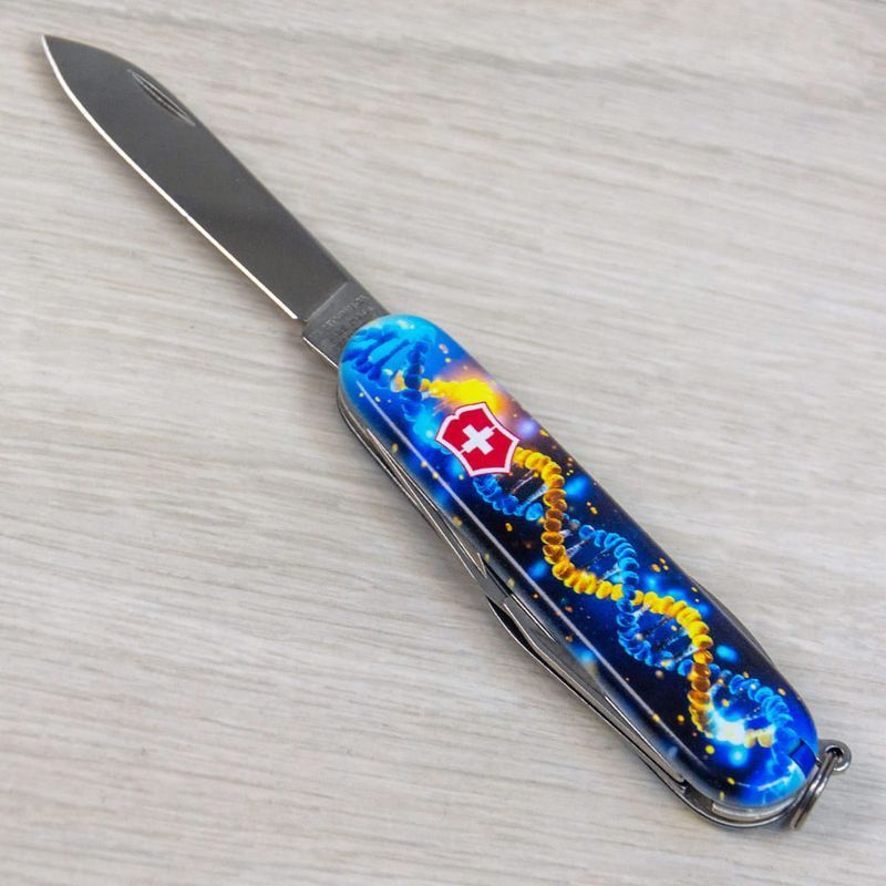 Складаний ніж Victorinox (Швейцарія) із серії Spartan.
